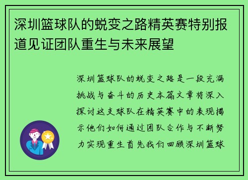 深圳篮球队的蜕变之路精英赛特别报道见证团队重生与未来展望